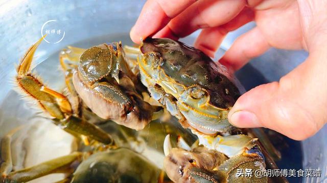 螃蟹能冷冻保存吗，螃蟹可以冷冻吗（老渔民教您一招）