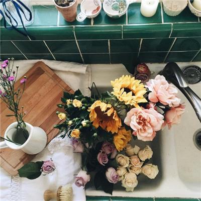 fiee做网名是什么意思，Fiee. 微信昵称（追寻）微信昵称（有格调的快手昵称大全女柔和中带有力量感）