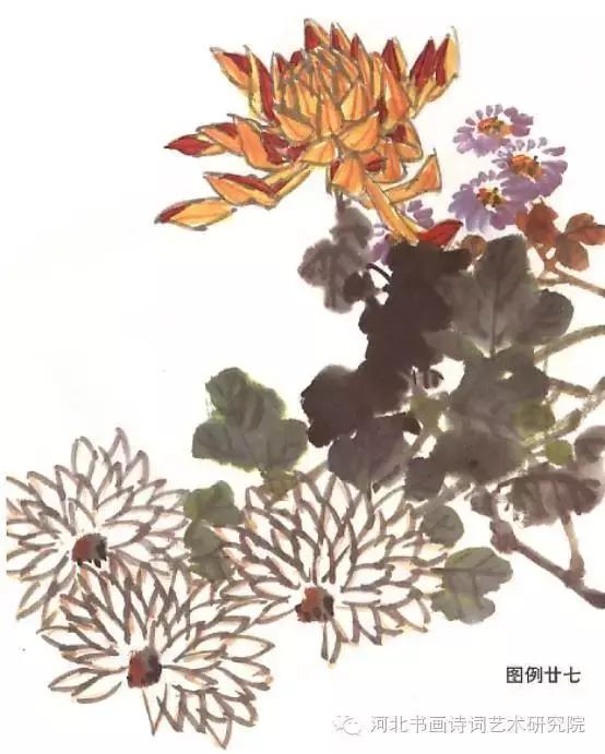 花的画法——菊花的画法，菊花是怎么画（菊花画法大全）