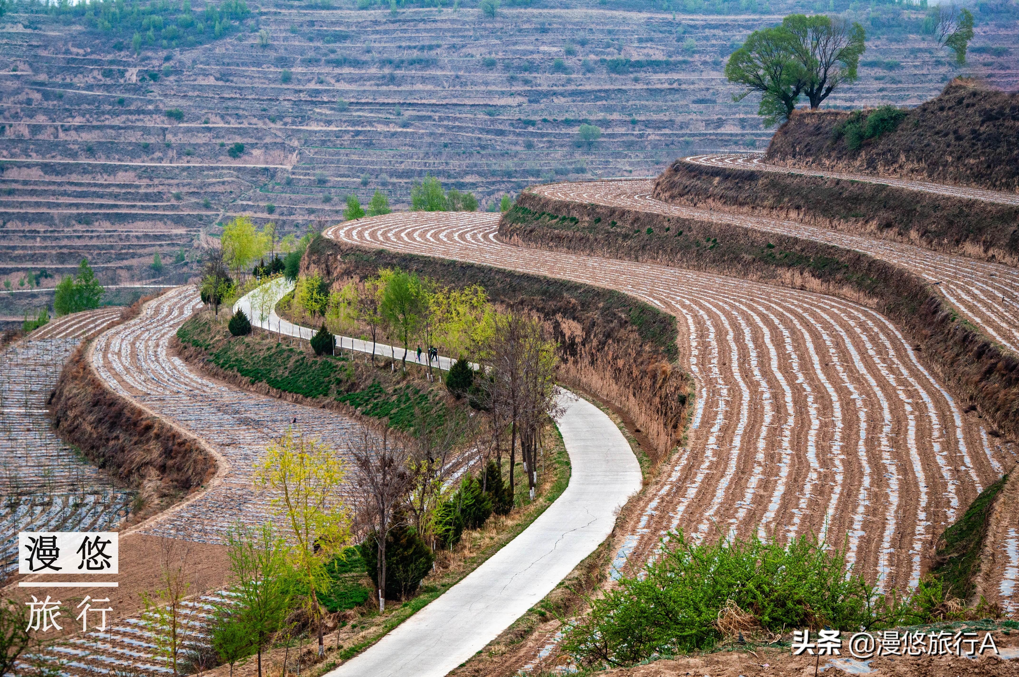 40万庄浪儿女,用34年造100万亩梯田王国,一举登上人民日报头版