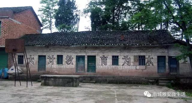 冷色系女头/快乐是个奢侈品，微信头像，冷色系女头/快乐是个奢侈品（雅安：一城梧桐伴流年）