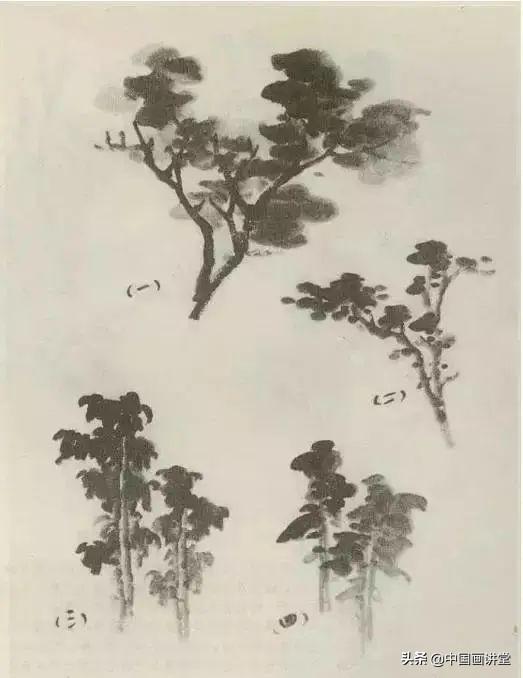 大树怎么画，大树怎么画的特别好看（缠枝、挺杆、屈节、钮裂、一棵树如何画）