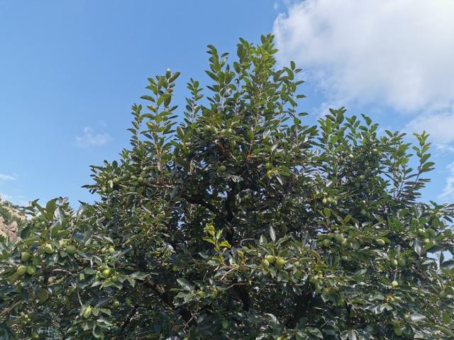 鹤山市属于哪个省哪个地区，鹤山哪里的（北有山东青岛以“石奇”而闻名的鹤山风景区）