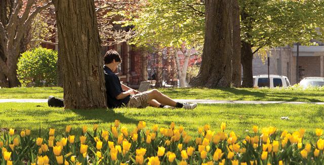 加拿大女王大学，加拿大女王大学排名2019（初次认识，请多指教）