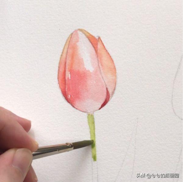 简单的花怎么画，玫瑰花画法（3个简单步骤教你画出一朵小花花）