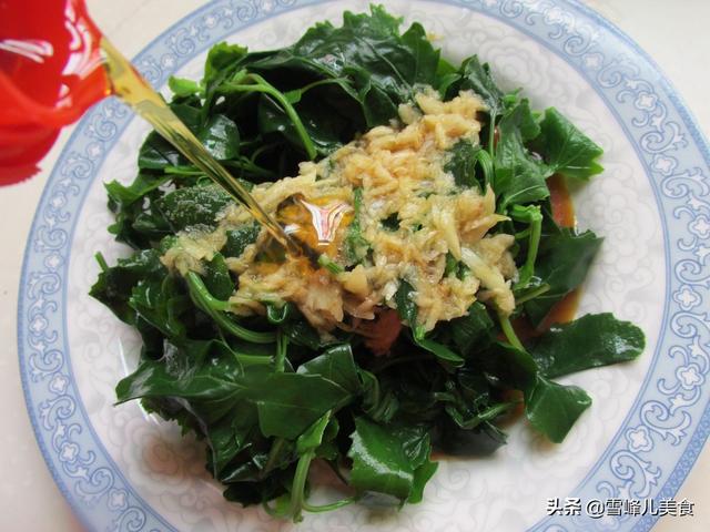 灰灰菜怎么吃，春天这菜路边就有（灰灰菜能吃吗）