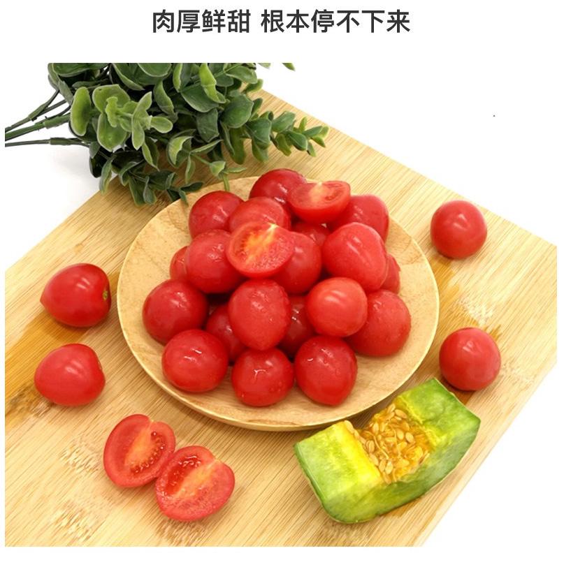 圖片[5]-圣女果的營養價值到底有多高？-起舞食譜網