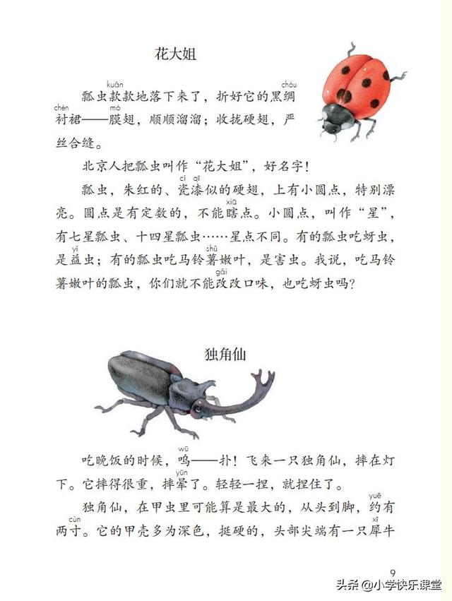 什么的硬翅，什么的硬翅？填四个字。（小学部编三年级语文下第4课《昆虫备忘录》图文+知识点+同步练习）