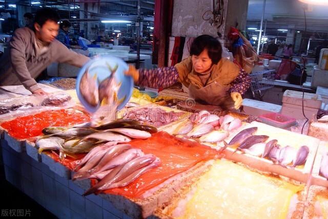 没有刺的鱼是什么鱼，什么鱼没有刺（这5种鱼纯野生）