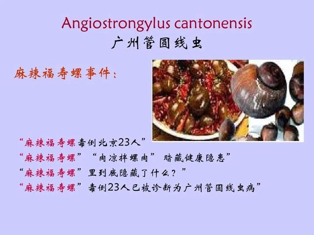 福寿螺到底能不能吃，福寿螺可以吃吗（福寿螺到底能不能吃）