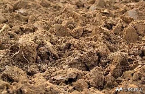 地温与气温一般相差几度，掌握气温与地温的关系