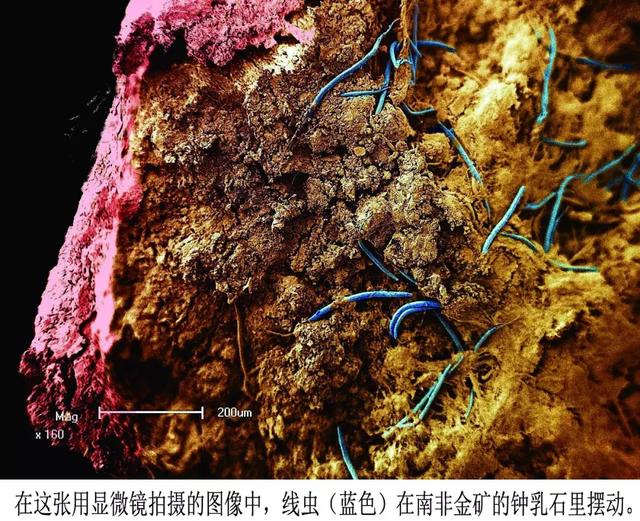 地球深部存在另一个生物圈吗，地球深部存在另一个生物圈吗为什么（揭秘：地表下的蓬勃生机）