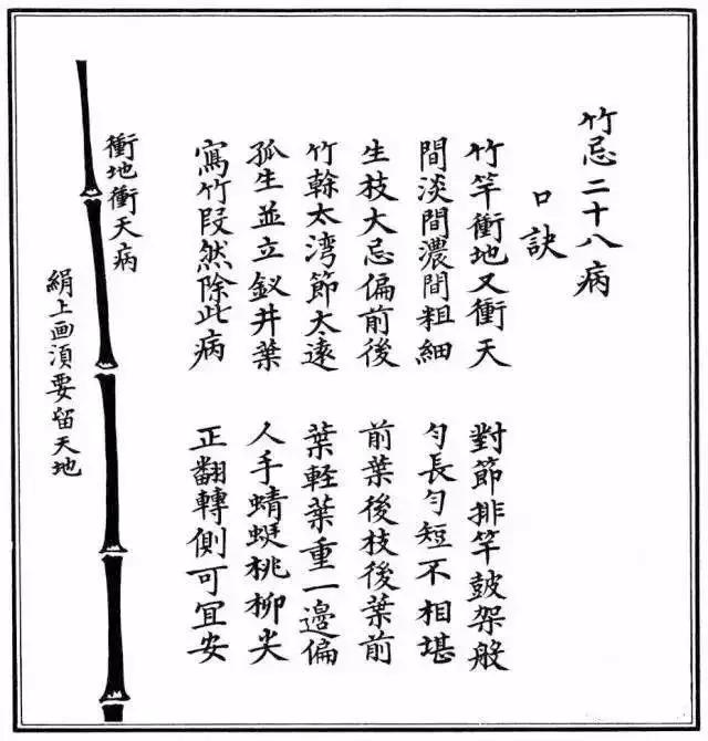 竹子漂亮简单画法,怎样画竹子最好看又简单 竹子漂亮简单画法,怎样画竹子最好看又简单