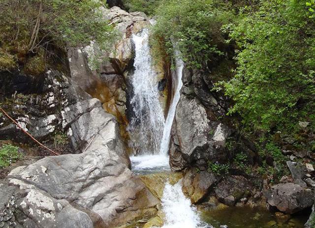 啮怎么读，溯怎么读出来（成语“穷鼠啮狸”的“啮”是什么意思）