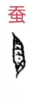 蚕丛及鱼凫指什么，蚕丛及鱼凫指的什么（蚕丛、柏濩、鱼凫）