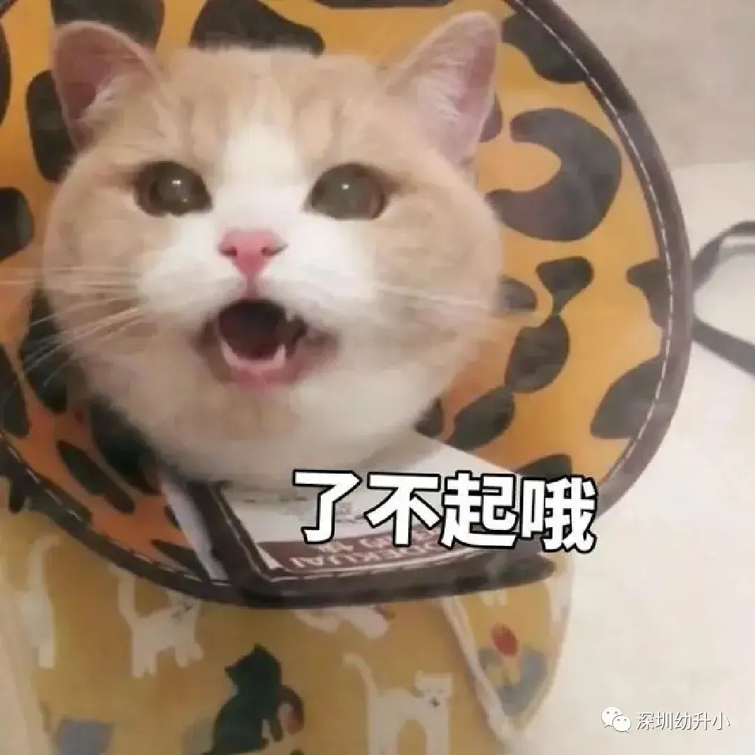 深圳有哪些私立学校（深圳超超超难进的2所民办学校）