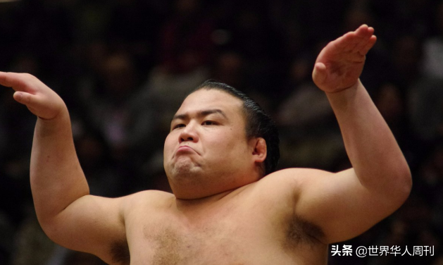 相扑运动员寿命，日本相扑冷知识（日本相扑选手因新冠去世）