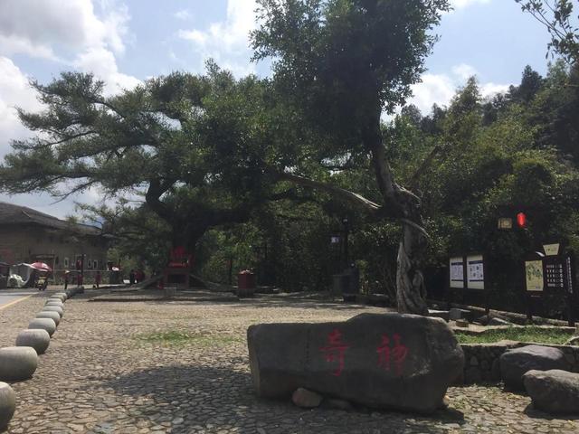 永定土楼在哪里，福建永定土楼在哪里（位于中国东南沿海的福建省龙岩市）