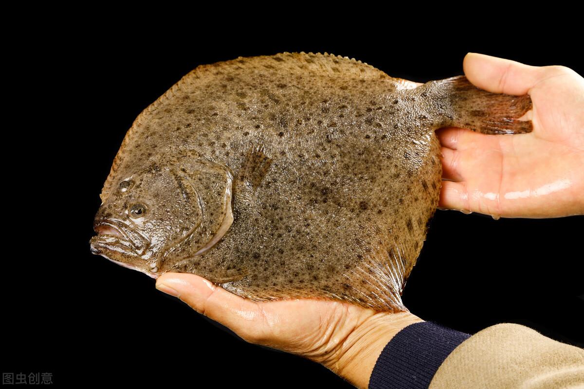 大菱鲆是如何进入中国市场的?