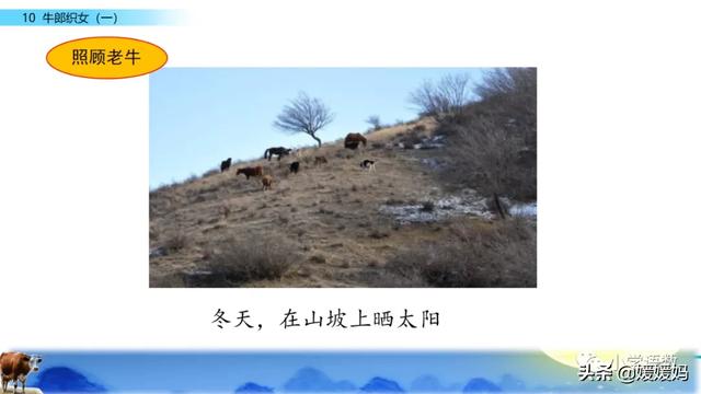 恋恋不舍的意思，恋恋不舍的意思是什么（部编版五级年语文上册第10课《牛郎织女）