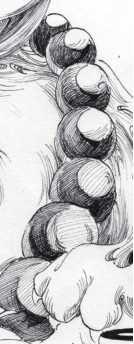 椭圆的画法，木工椭圆最精确的画法（合理快速的画一幅画）