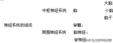 生物圈的范围，初中生物中考复习资料全