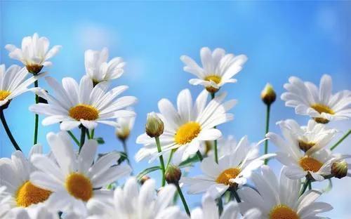 人生何必如初见，人生何必如初见是什么意思（人生何必如初见是什么意思啊）