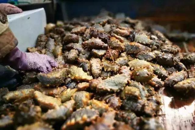 长岛旅游——长岛旅游攻略吃住行经验大分享，长岛旅游攻略住宿（长岛最新旅游攻略，赶紧存起来）