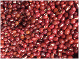 赤小豆图片和红豆图片，怎样区分赤小豆与红豆（利水消肿的赤小豆）