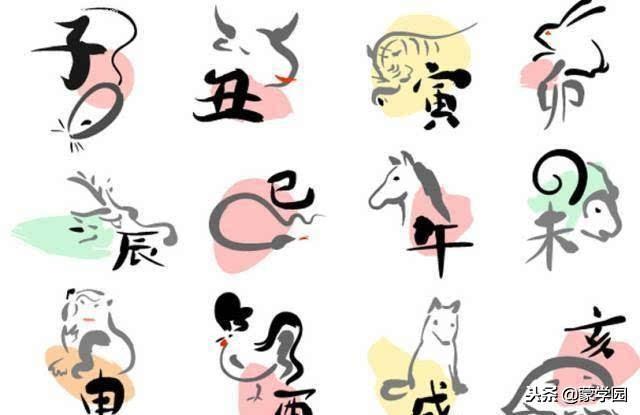 日肖和夜肖是哪几个肖，日肖夜肖有什么些生肖（十二生肖对应十二地支的关系）