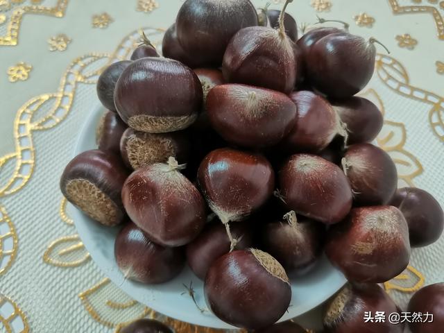 生板栗怎么保存，生板栗各种储存方法（教你简单实用的方法）