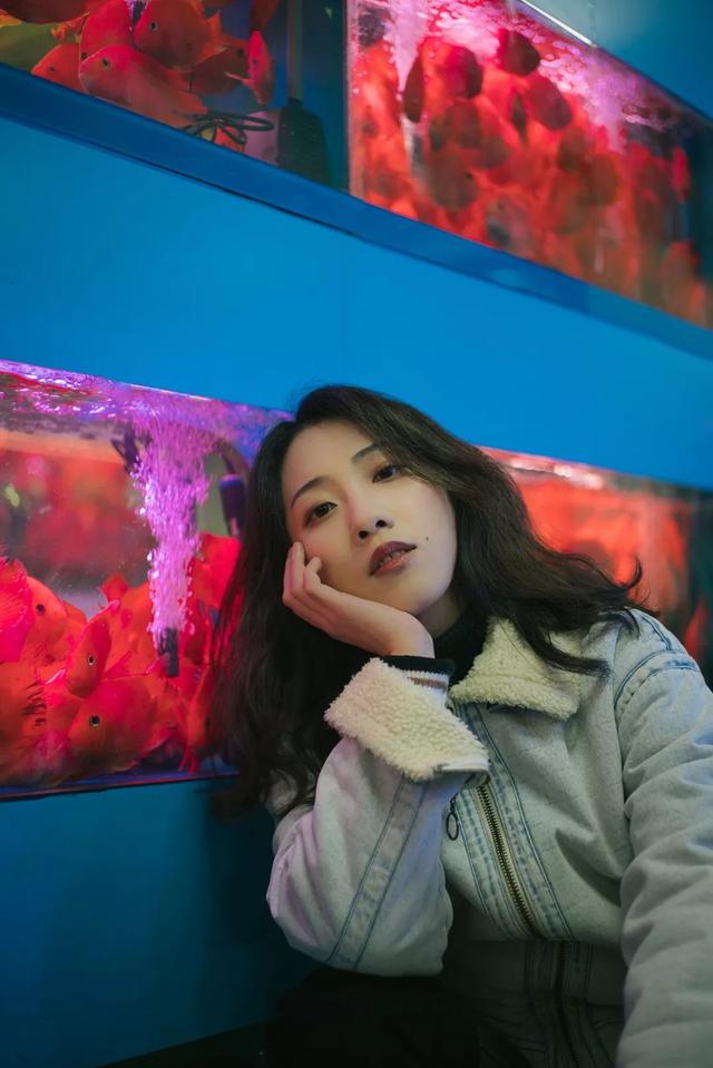 杭州哪个花鸟市场卖猫，杭州最大的花鸟市场在哪里（拍出“港风”，吴山花鸟市场）