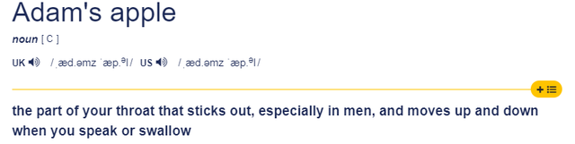 菠萝原产地是哪个国家，菠萝原产地是哪个国家的（Pineapple）