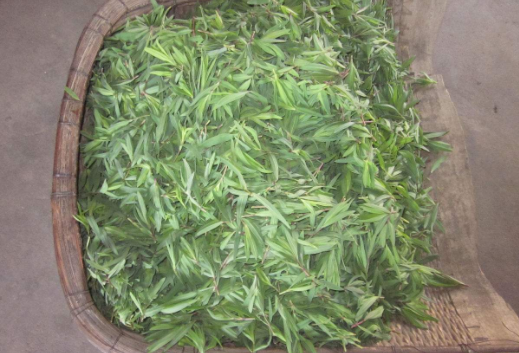 山麻楂包子的做法,如何製作山麻楂包子更美味(是包餃子的好材料)