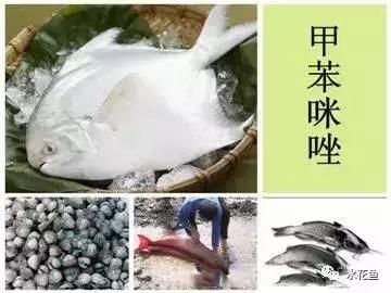 用什么农药药鱼，用什么农药药鱼最厉害（常用鱼药的优缺点与药用量及品种禁忌）