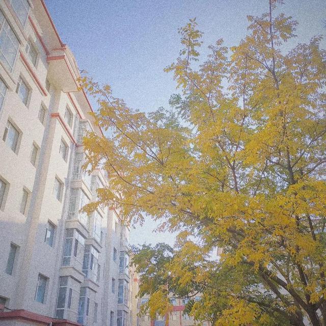 吉林师大博达学院，2021吉林师范大学博达学院排名（<五>吉林师范大学博达学院）