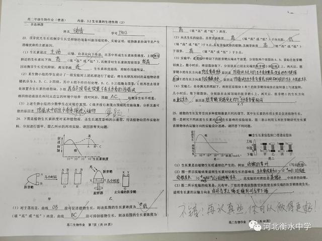 电脑中怎样把白纸变成横格纸，阅卷老师狂赞的“衡水体”书写视频曝光