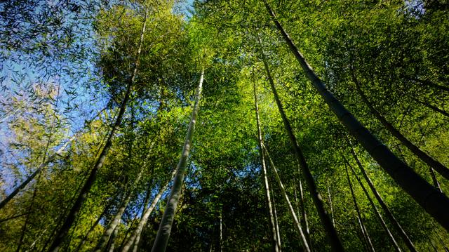 南尖岩景区介绍，一个联合国命名的“摄影基地”