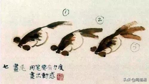 金鱼画法步骤图解,国画写意鲤鱼、金鱼的画法 金鱼画法步骤图解,国画写意鲤鱼、金鱼的画法