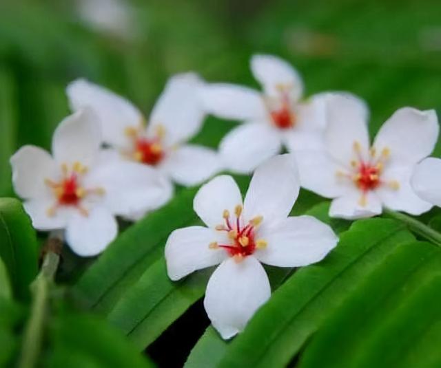 婚外情有真爱吗?会长久吗，婚外情能长期维持吗（婚外有真爱？别扯）