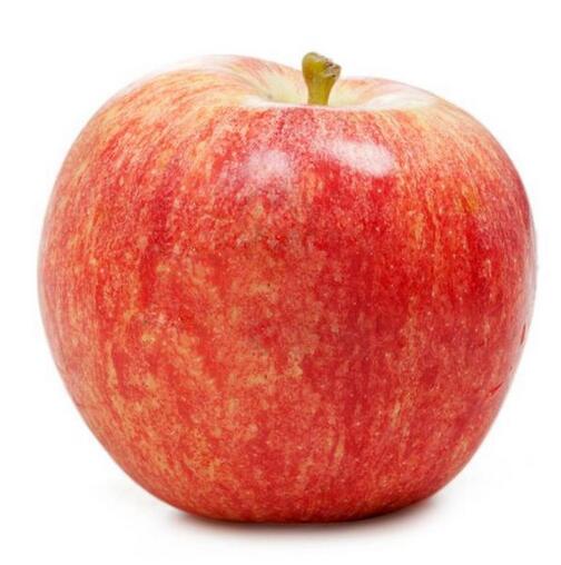 圖片[8]-紅薯保存方法 放一年不壞 越放越甜！-起舞食譜網(wǎng)