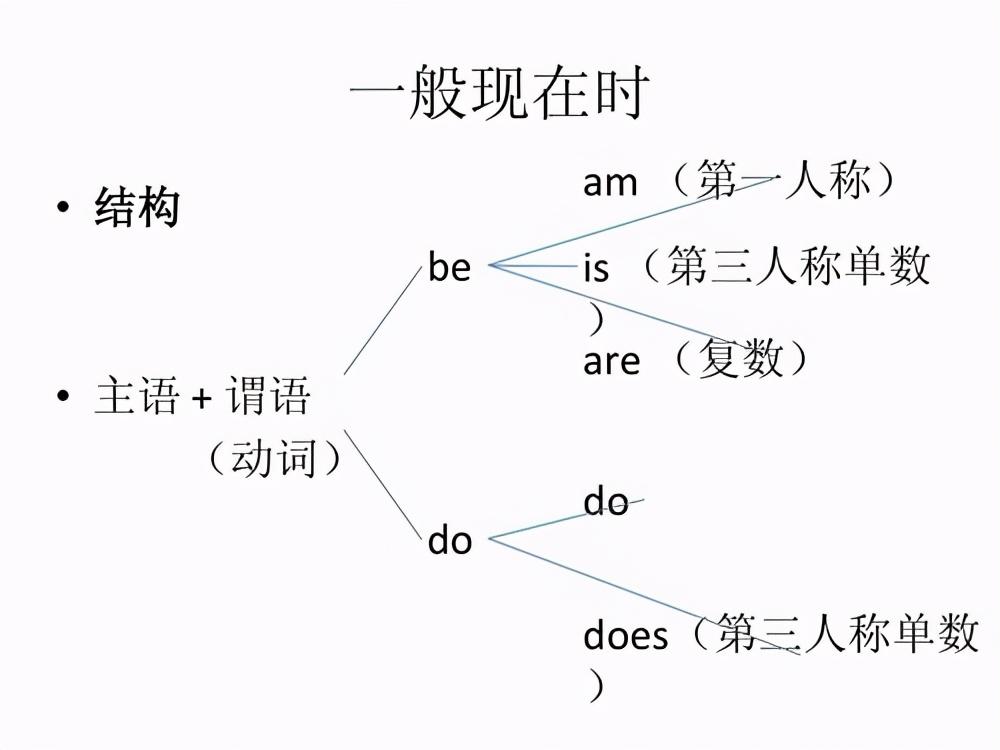 一般现在时的构成(一般现在进行时的构成)插图(2)