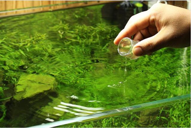 养金鱼的鱼缸水泵怎么配，鱼缸的设备投入让大家越陷越深