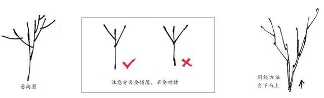超简单风景速写入门初学者，适合初学者学习的速写中植物配景的画法图解教程