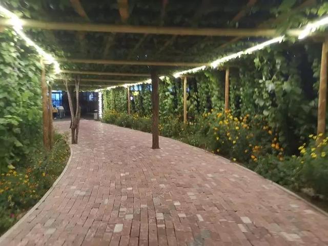 吉林师大博达学院，2021吉林师范大学博达学院排名（<五>吉林师范大学博达学院）