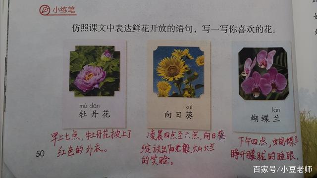 什么是科普说明文，科普说明文还有什么说明文（三年级语文下册第13课《花钟》留心观察获得的各种发现）