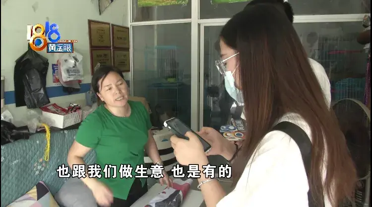 淘宝网电子狗(电子狗玩具价格及图片)