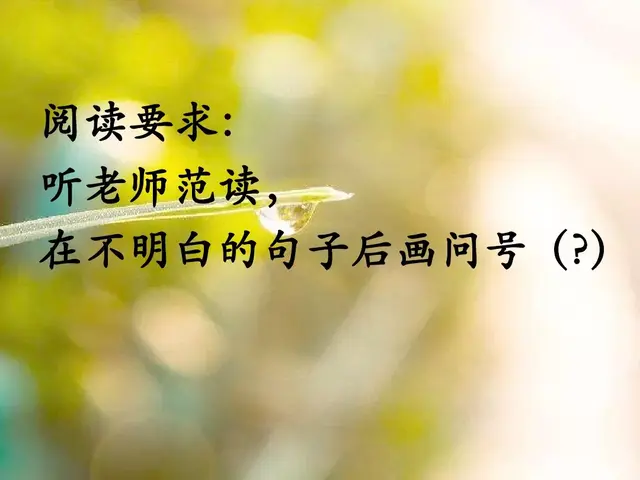 纯洁的反义词，轻盈光滑高傲纯洁的反义词（部编版一年级下册《语文园地二》+和大人一起读《阳光》知识点）