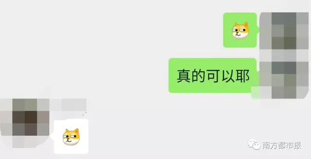 旺柴是什么意思，微信新增10款表情包