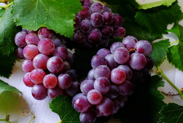 葡萄酒的制作方法图，怎么做葡萄酒（自酿“葡萄酒”是加白糖还是酒曲）